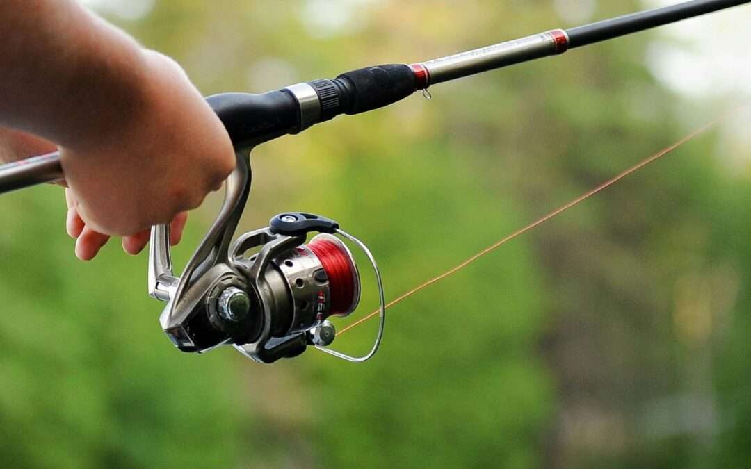 How to Start Feeder Fishing: A Beginner’s Guide