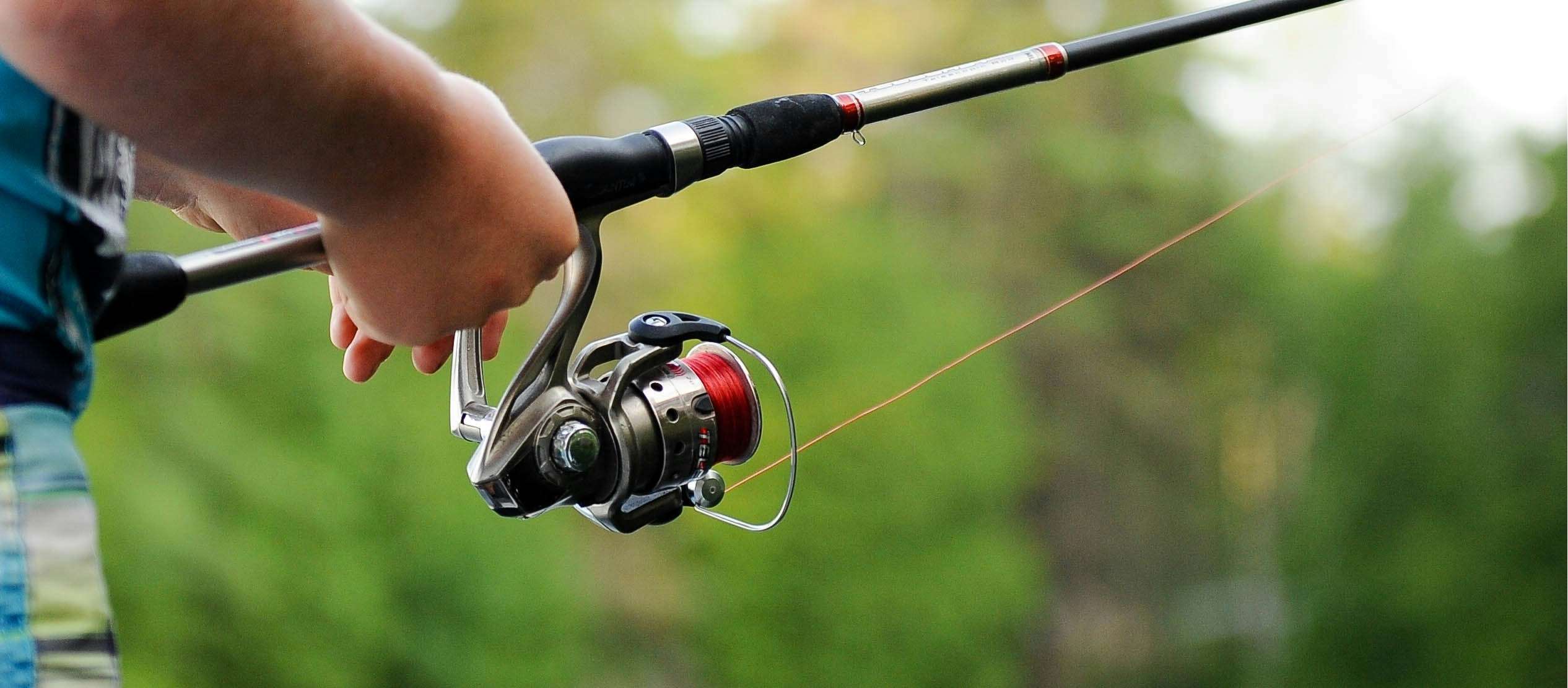 how to start feeder fishing